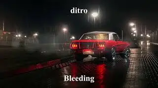ditro - Bleeding
