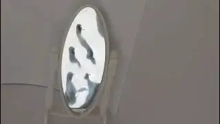 LPS клип на песню "Эго" на русском.