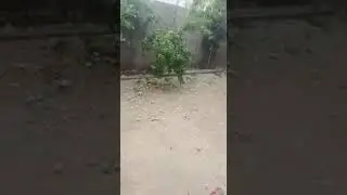 ياربي السلامة اللطف ياربي اللطف