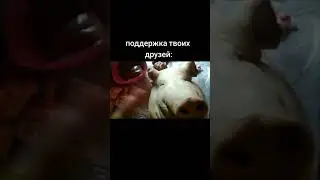 28 января 2024 г.