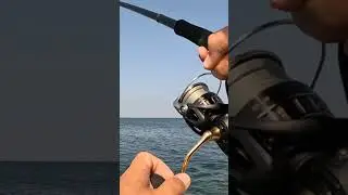Ловля рыбы помпано в Турции. Достойный боец при вываживании. #fishing #рыбалка #рыба