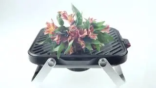 Shoppers discover Groupon Goods - Fuego Portable Gas Grill