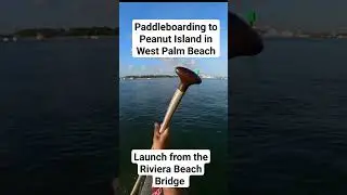 play this on your car this morning  #ledzeppelin #wpb #peanutisland #paddleboard #sup #westpalmbeach