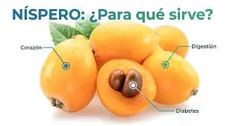 Propiedades Nutricionales del Níspero: ¡El Superalimento que Estabas Buscando!