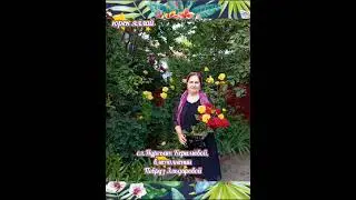 Певруз Эльдарова Лезгинка