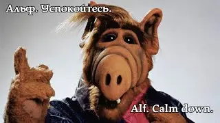 Альф. Успокойтесь. Alf. Calm down. 