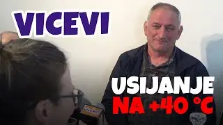Vicevi - Usijanje na +40 °C