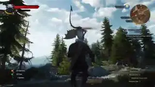 The Witcher 3 Wild Hunt - Дополнительные задания - Убиваем Дракона (нет)