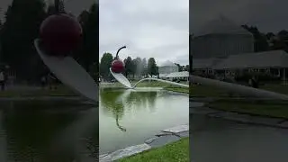 Giant cherry 