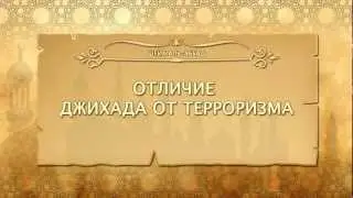 Шейх Аль-Аббад - Отличие джихада от терроризма.
