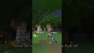 Mojo Needs More Bee Hives! 