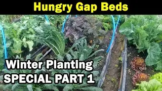 Hungry Gap Beds | Winter Vegetables | Pigeon Protection | Spring Planning | Green Side Up