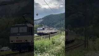 Nákladní vlak ZSSK Cargo - Kraľovany (SK) - 16.8.2023 (M96 #shorts #17)