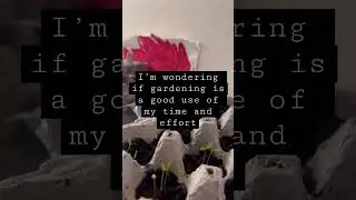 Is growing food worth it? 🤷‍♀️ #shorts