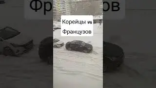 Корейцы против Французов