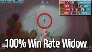 Widow got NERFED because of This Player - Top500 Widowmaker Analysis