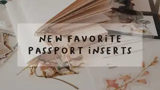 beautiful handmade passport inserts / beradadisini