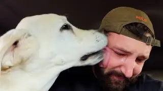 Chiefs Last Adventure..
