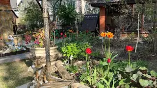 Прогулка по майскому саду . Ангелы спустились на землю