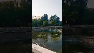 #сочи