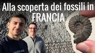 Alla scoperta dei fossili nel Sud-Est della FRANCIA