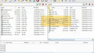 Uploading files using CuteFTP