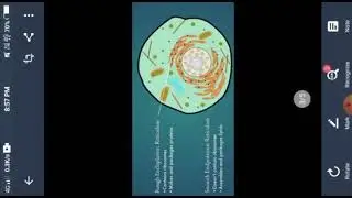Lecture 2: Cell the unit of life (Part 2)