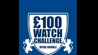 The $100(£100) challenge Eutour Stainless Steel Magnetic Watch Corona Style Quartz