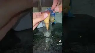 Receita do dia - Açaí na Casquinha! 🍦