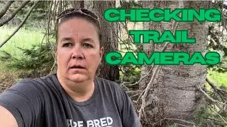 Checking trail cameras for the last time