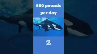 DID YOU KNOW These facts? | Awesome facts