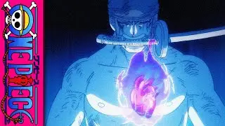 ZORO IS MOTIVATED