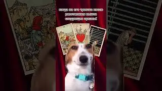 #таро