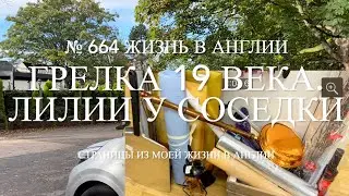 Как выглядит грелка 19 века. Цветущие лилии у соседки. № 664 Жизнь в Англии