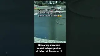 Ular apa buaya ituu...