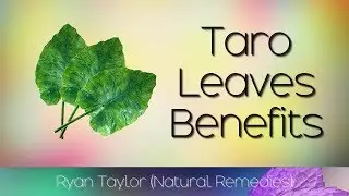 Taro Leaves: Benefits and Uses