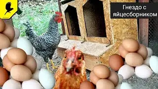 Making chicken nests with egg collector (All sizes)