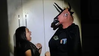 O BOI DA CARA PRETA (30)