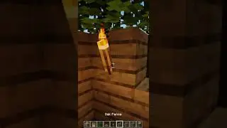 Minecraft: 1st Night Starter House #shorts #minecraft