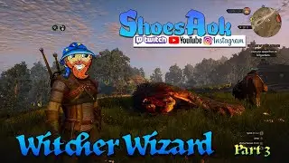 The Witcher 3 : Part 3