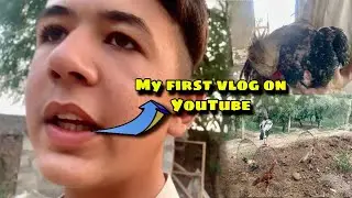 My first Vlog in YouTube .. My all birds clips