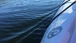 Lincoln Chebeague coasting