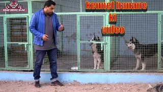 Dogs kay lya cage ka size or kennel banane ka tareeka(Asad Brohi vlog)
