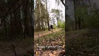 Бег в помощь