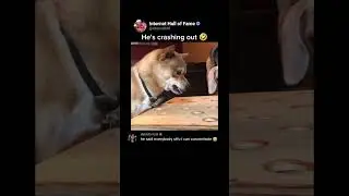 He's crashing out 🤣 (@tejorj)