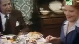 Animal Planet al Extremo - Gastrónomos