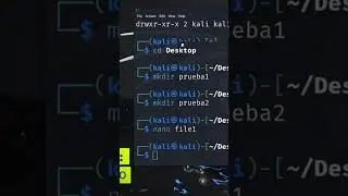 Comandos Básicos Kali Linux Parte 2 #kalilinux #kali #linux