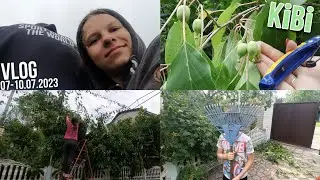 VLOG: Ми в селі!🏡 | Вирощуємо ківі в Україні🥝 | Попали з хлопцем під дощ🌧💧 | Dana Kolesnik