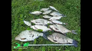 Рыбалка на ММ