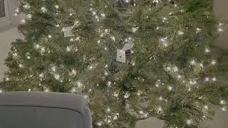 Our Christmas Tree Is Now A Meme